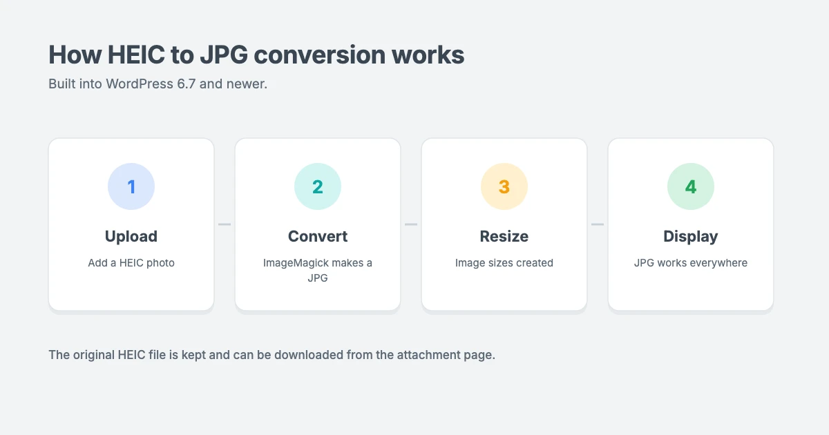 How HEIC to JPG conversion works in WordPress: upload a HEIC photo, WordPress converts it to JPG on the server with ImageMagick, and visitors see a JPG that works in every browser