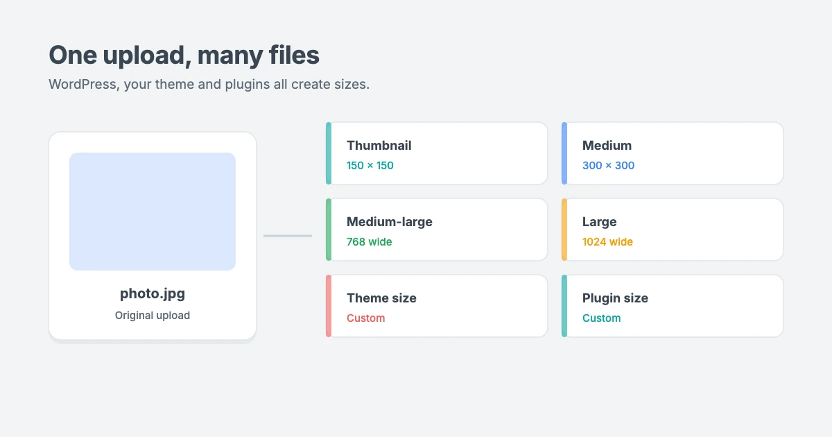 How one WordPress upload becomes many files: the original image plus thumbnail, medium, medium-large, large and theme or plugin sizes