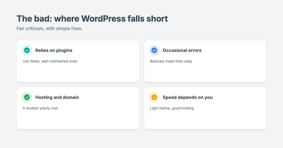 The bad side of WordPress: relying on plugins, occasional errors, hosting and domain costs, and performance that depends on your choices